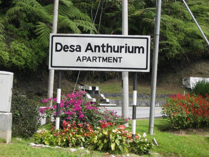 Sa Apartments @ Desa Anthurium Cameron Highlands Esterno foto